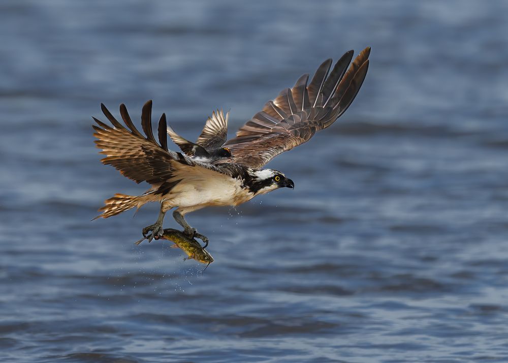 Photograph by Jia Chen