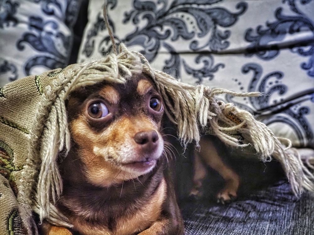 Photograph by Сергей Пермин