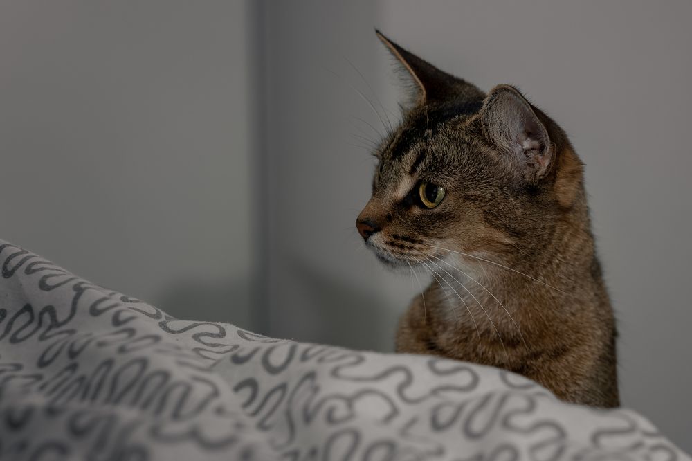 Photograph by Vlad Perfecto