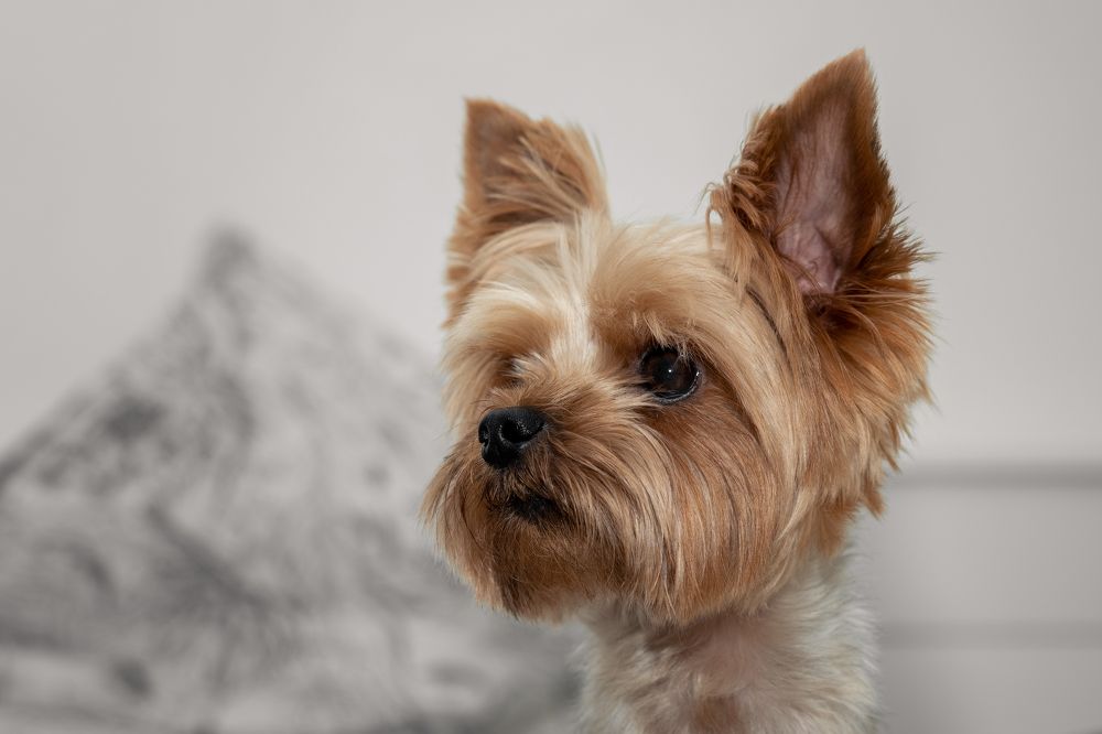 Photograph by Vlad Perfecto