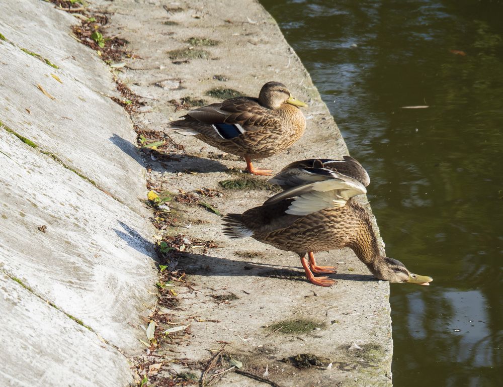 Photograph by Evgeniy Prokoptsov