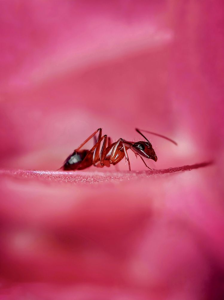 Photograph by Aaron R S