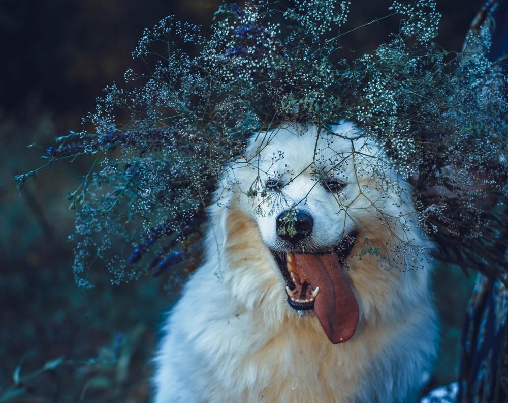 Photograph by Елена