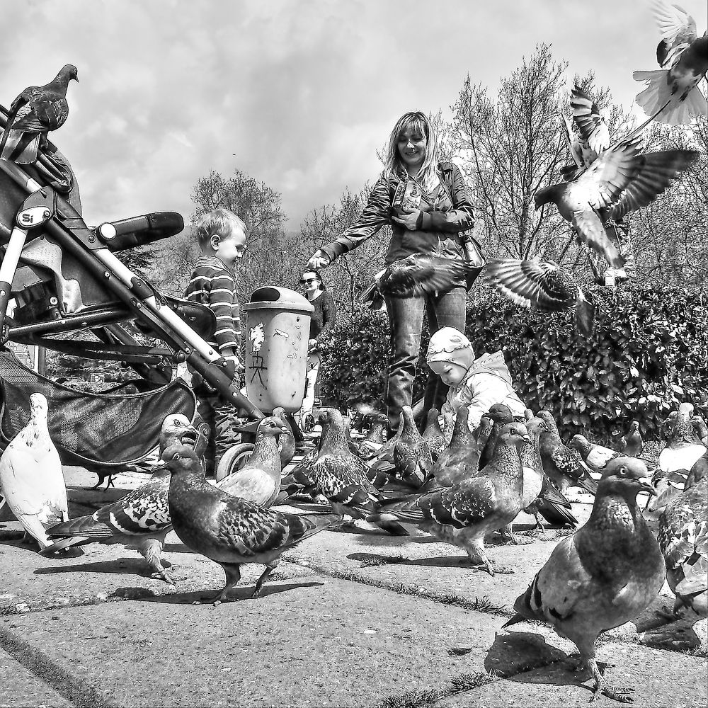 Photograph by Александр Кудрявцев