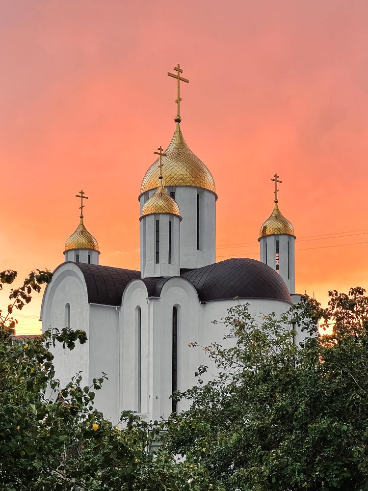 Photograph by Alexander Lonsdale