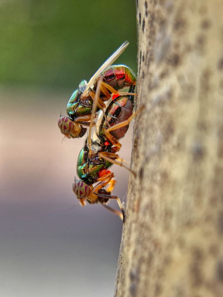 Photograph by Abhijit Roy