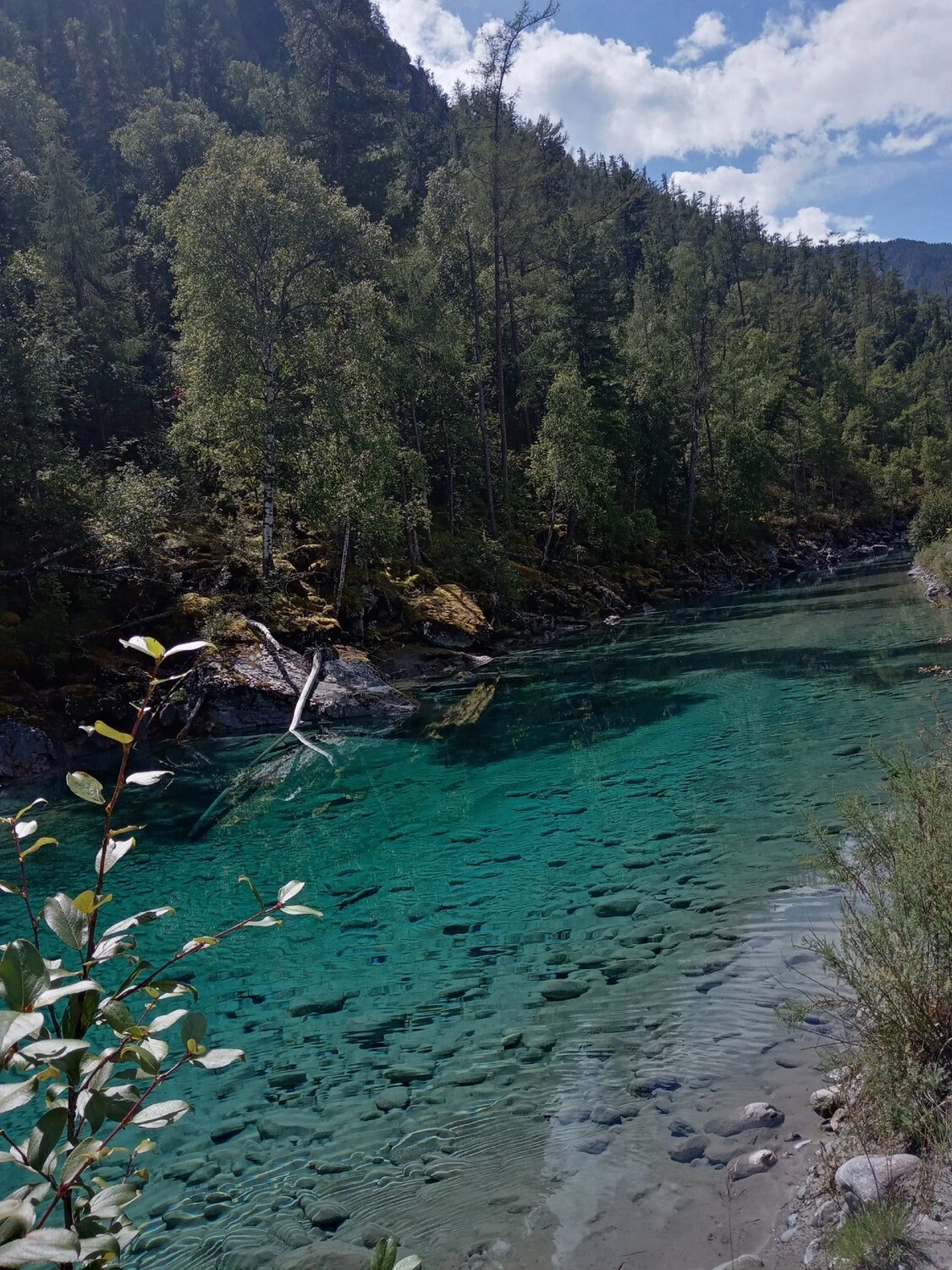 Photo #9810103