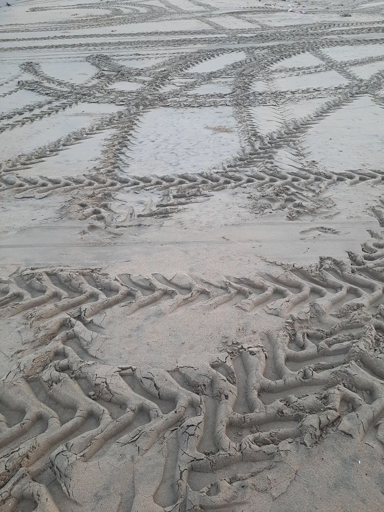 Фотография автора Shreya Suraj