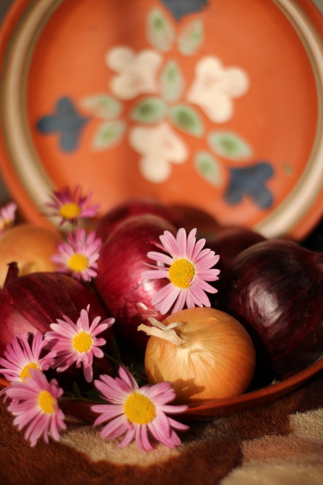 Photograph by Анастасия Липаткина