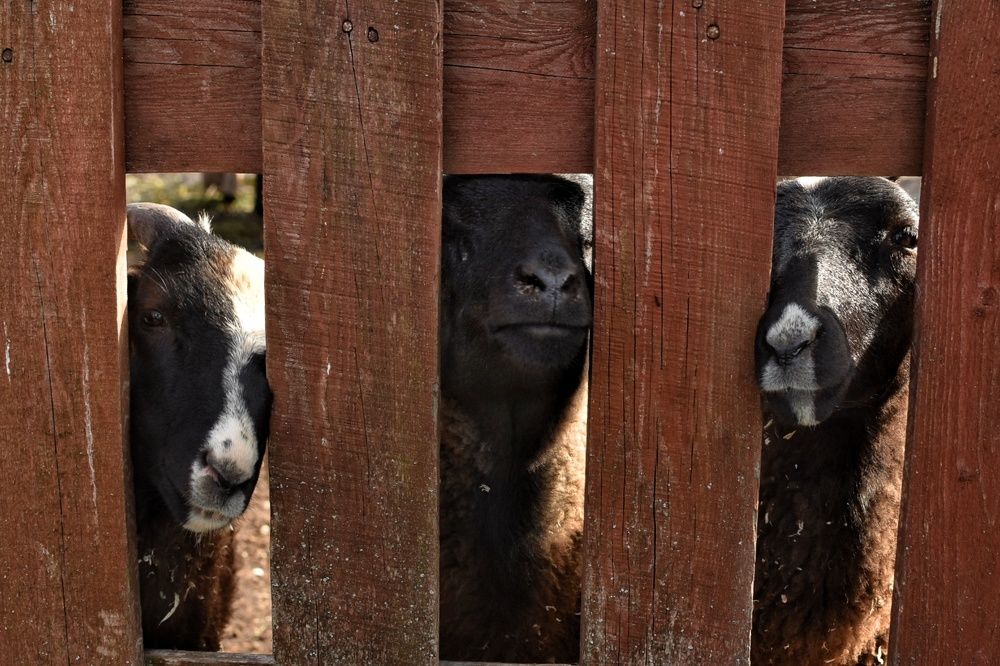 Photograph by Татьяна Абабкова