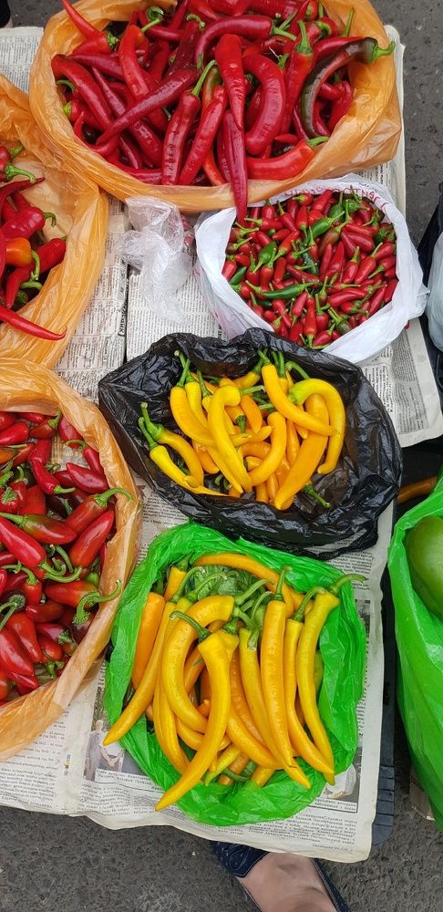 Фотография автора Ольга Мусина