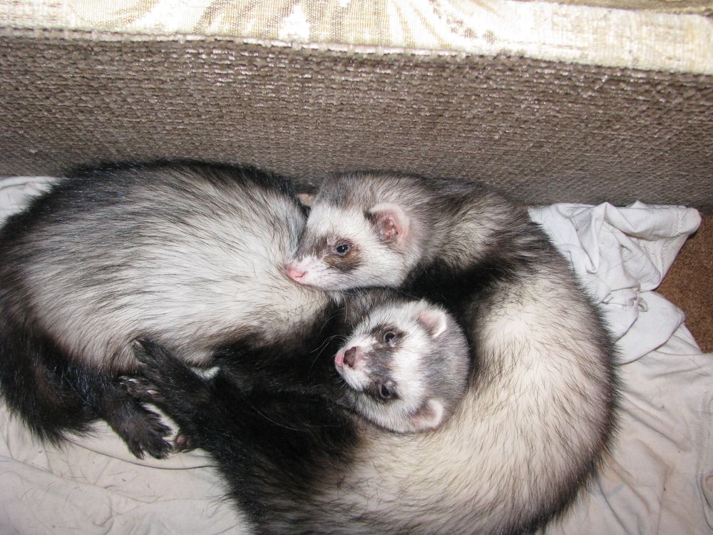 Photograph by Марина Константинова