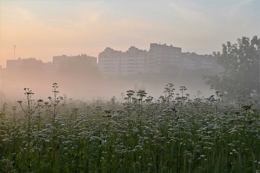 Фотография автора IRINA FILIPPOVA