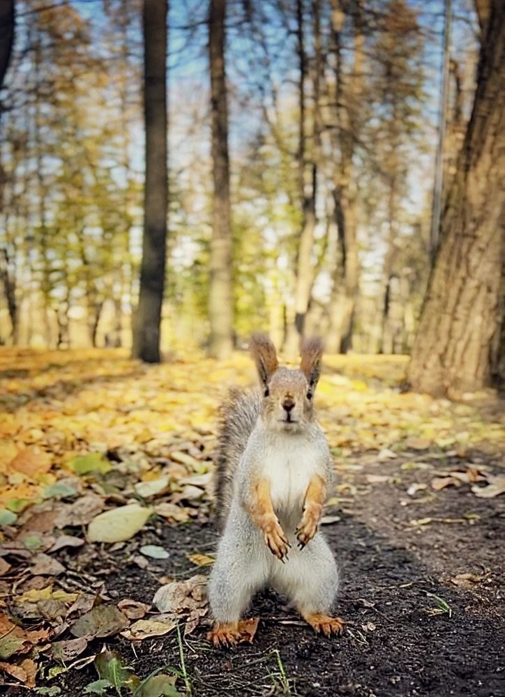 Photograph by Василий Герасимов