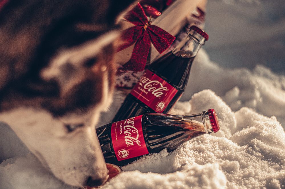 Photograph by Оксана Шевченко