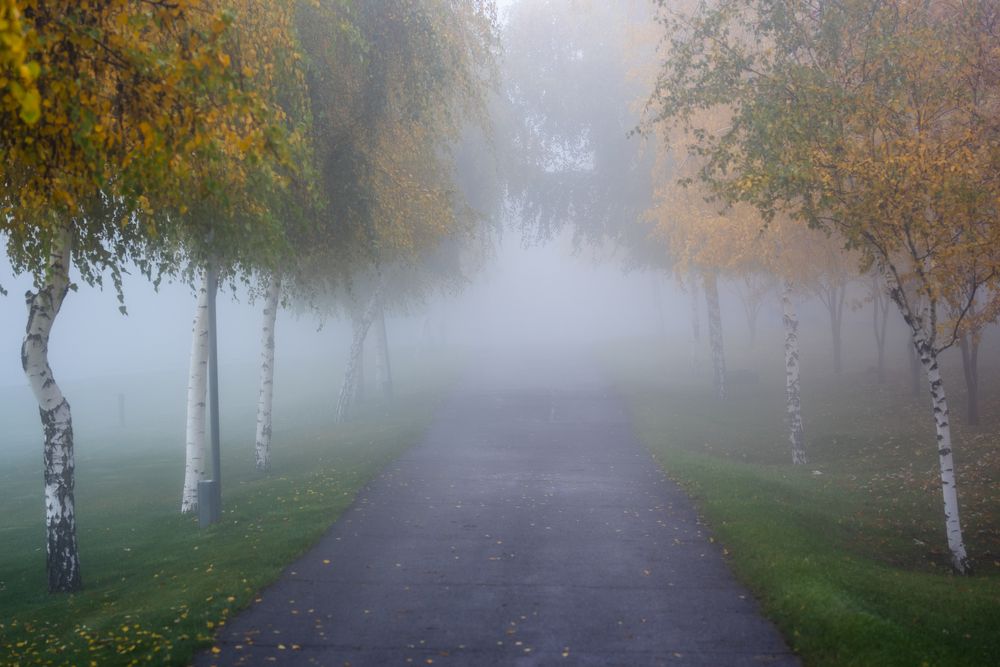 Фотография автора Дмитрий Кетов