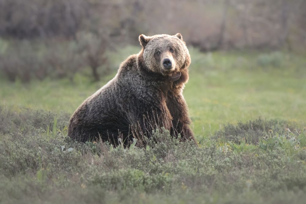 Photograph by Victoria Harris