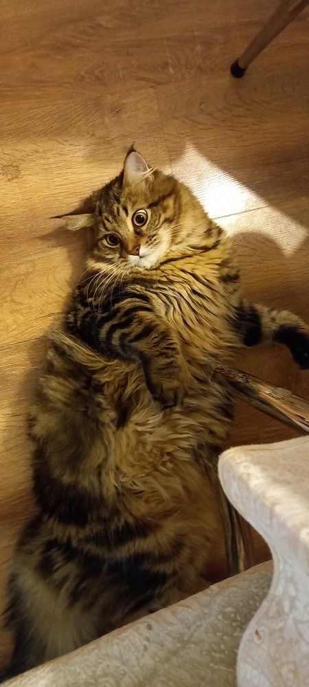 Фотография автора Мостовщикова Мария