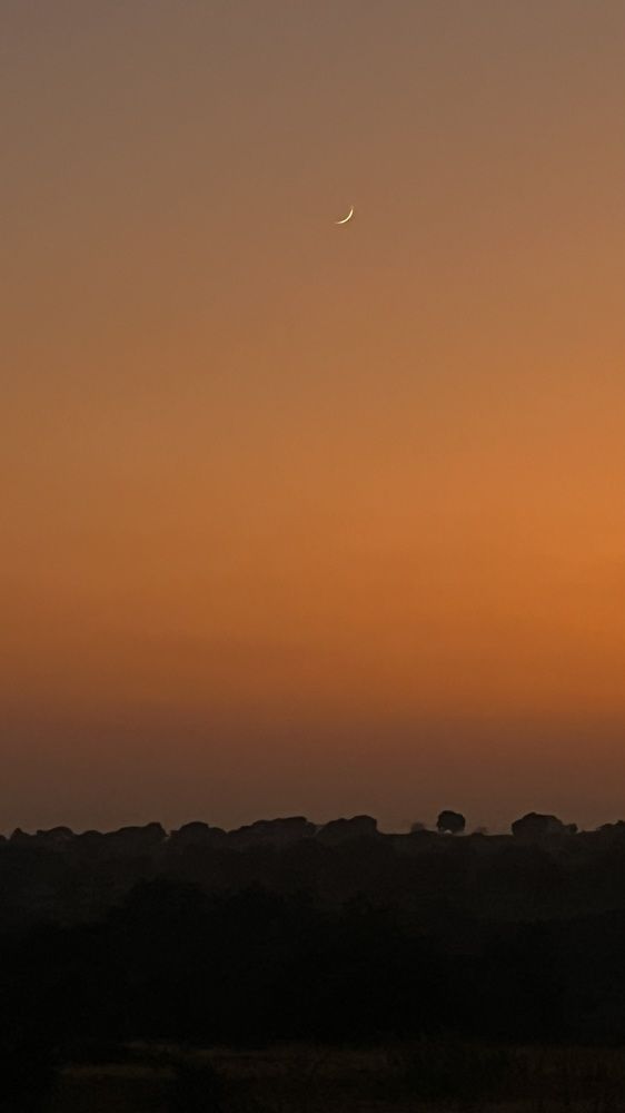 Photograph by Gopal Pendalwar