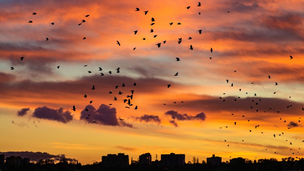 Photograph by Вертиков Юрий