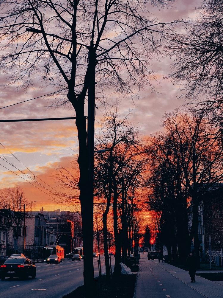 Фотография автора Judita L.