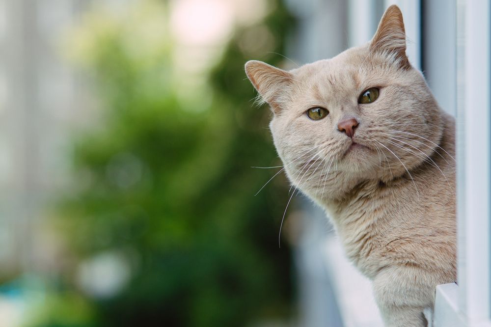 Photograph by Вертиков Юрий