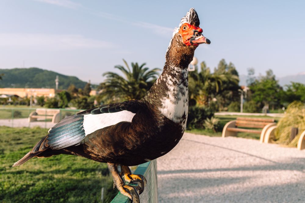 Photograph by Вертиков Юрий