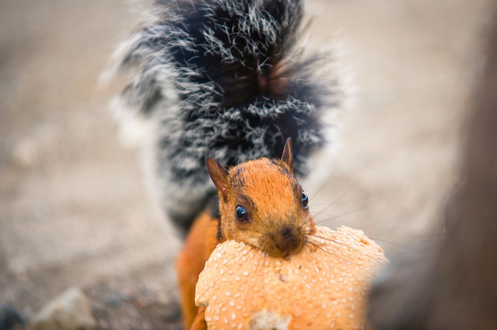 Photograph by Станислав Дроздов