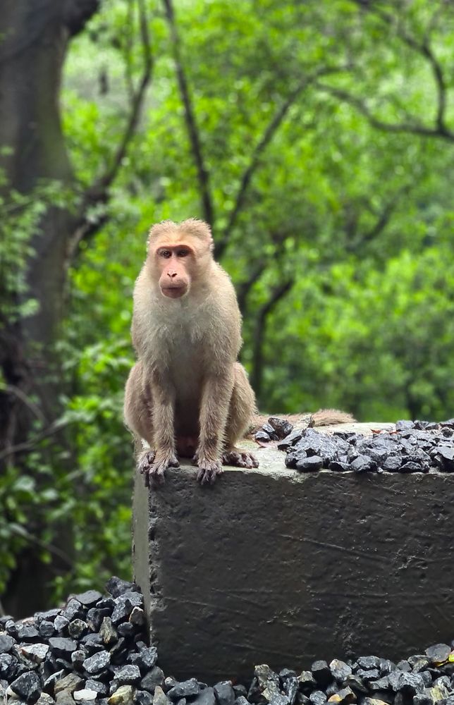 Photograph by Eashwar Srinivasamurthy