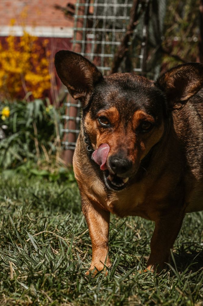 Фотография автора OXANA MARSOVA