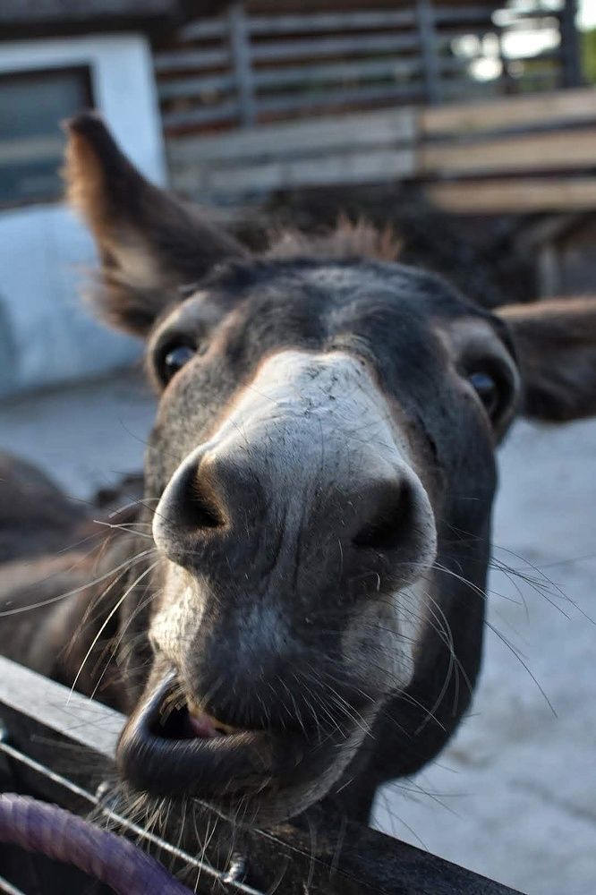 Photograph by Татьяна Абабкова