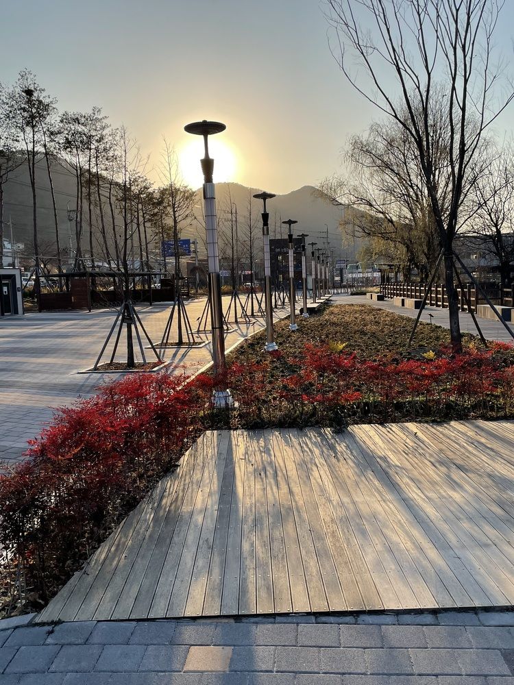 Photograph by Olga Gorobets