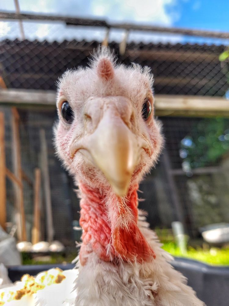 Photograph by Татьяна Абабкова