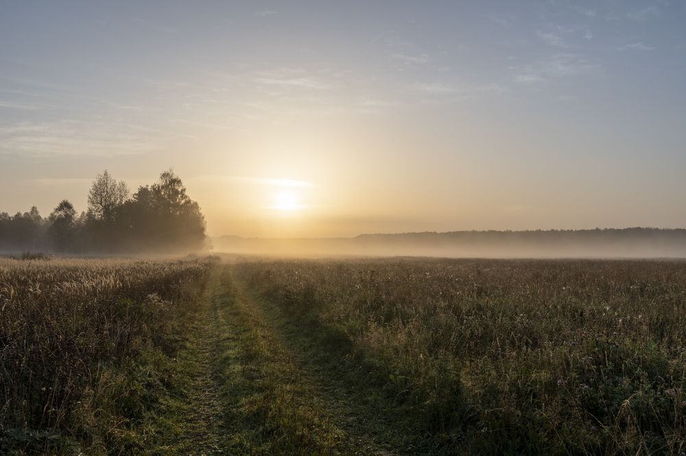 Photograph by Максим Рати