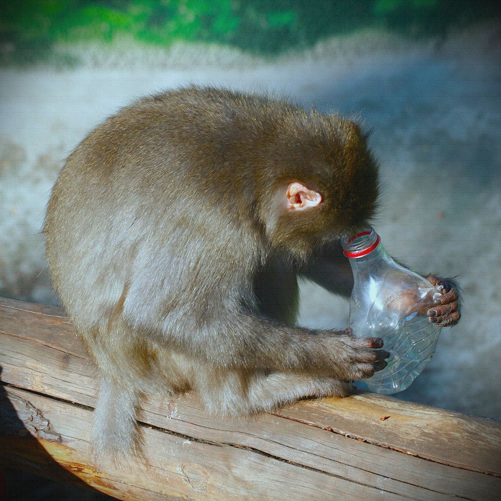 Photograph by Гагик Саркисян