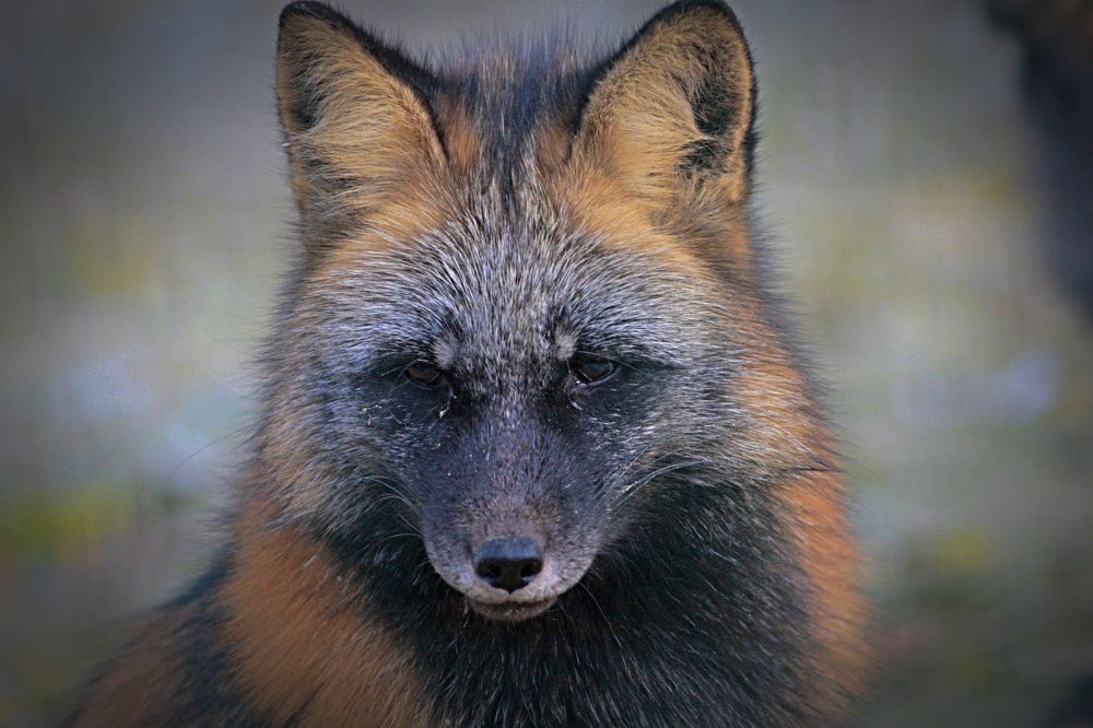 Photograph by Эдуард Попов