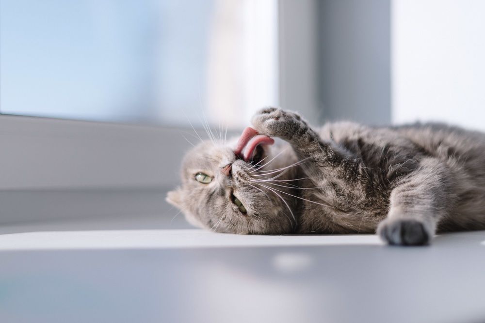 Photograph by Евгения Ерофеева