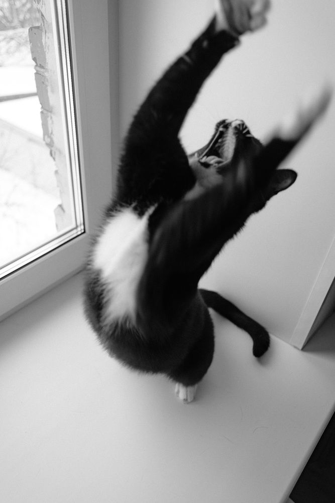 Photograph by Евгения Ерофеева