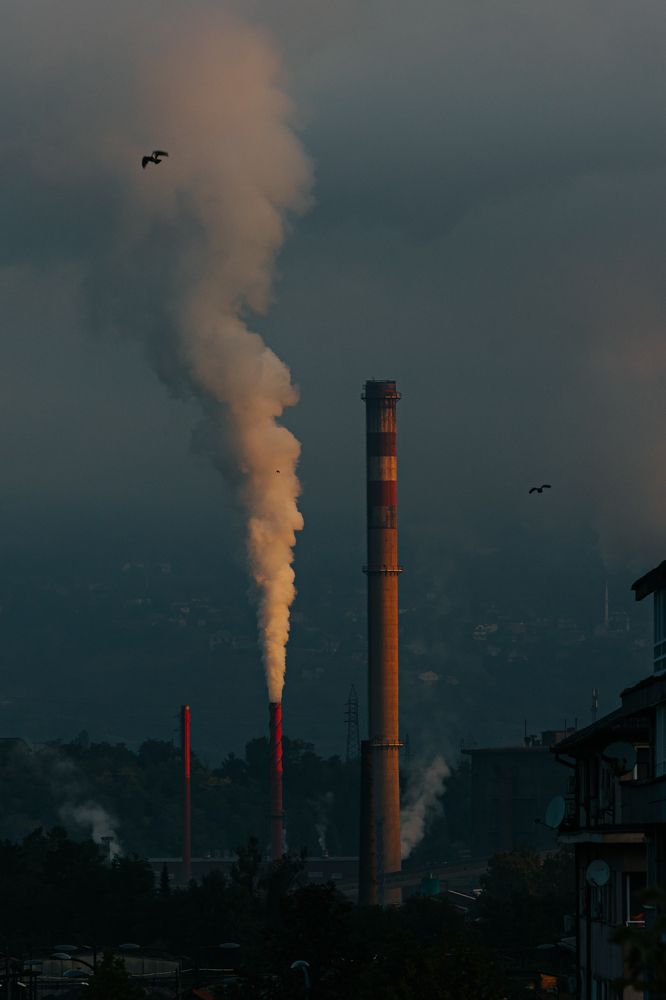 Photograph by Ernest Mazarekić