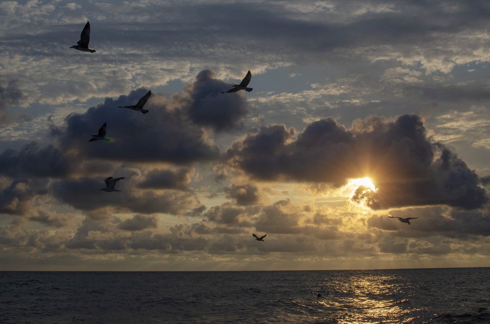 Photograph by Роман Кудрявцев