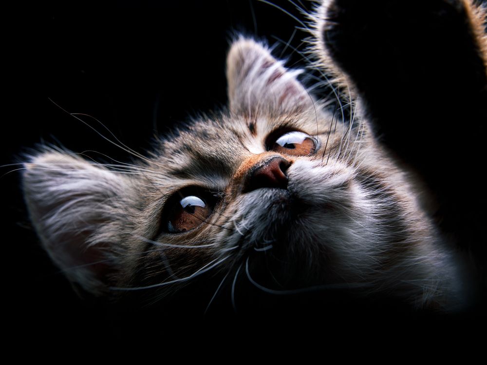 Photograph by Evgeniy Savikov