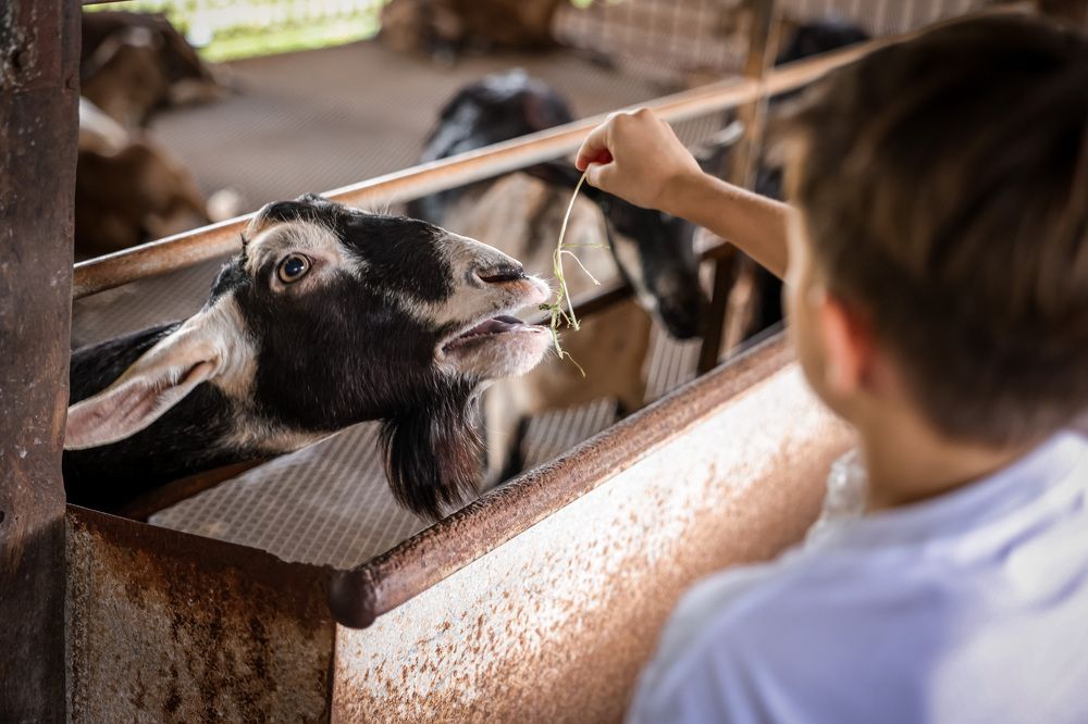 Photograph by Елена Цырюк