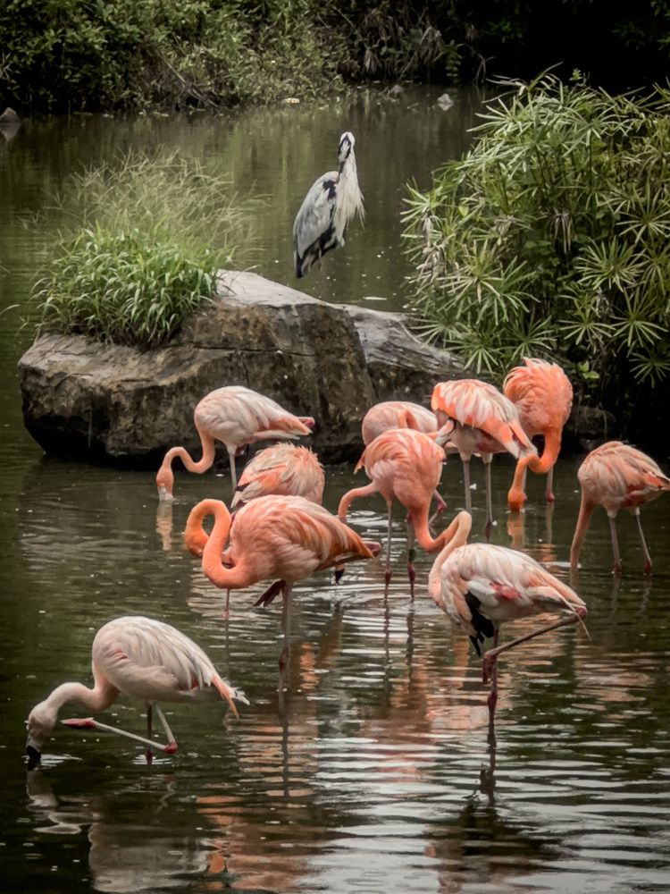 Photograph by Елена Цырюк