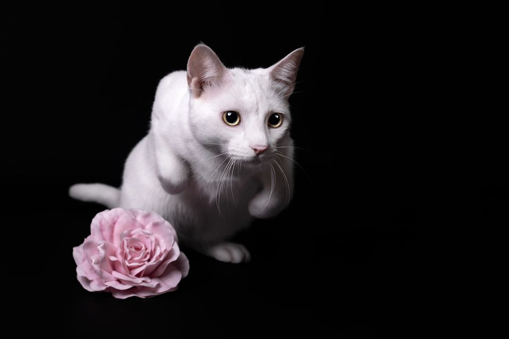 Photograph by Leticia Hernandez