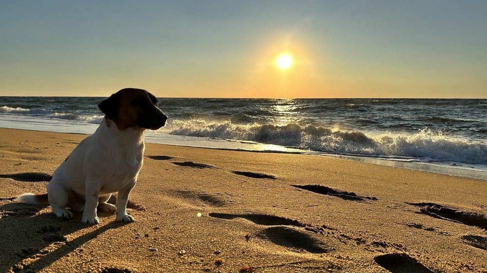 Photograph by Roman Mazo