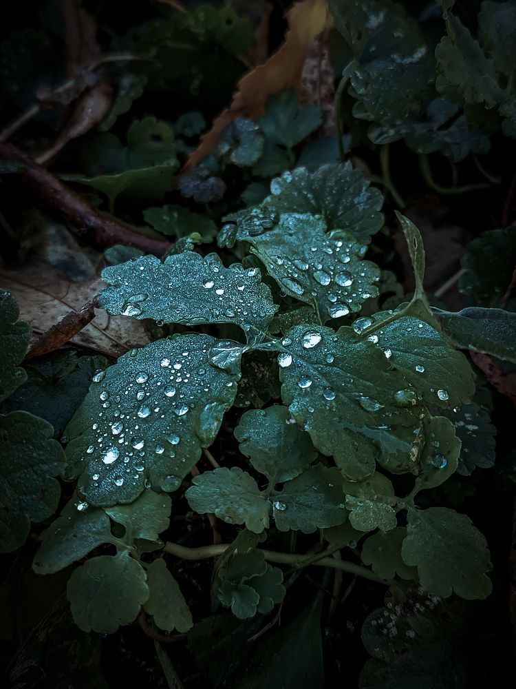 Photograph by Алиса Малая