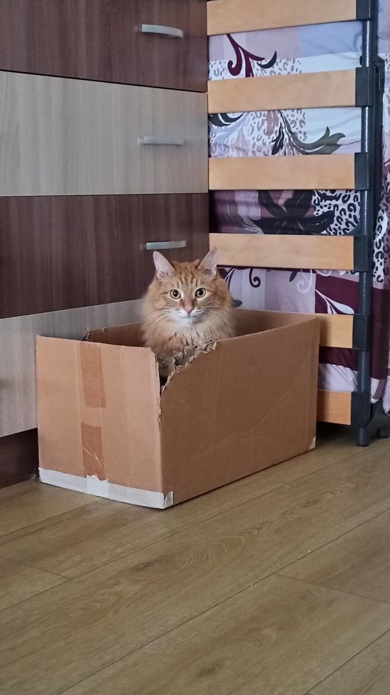 Photograph by Василиса Прекрасная