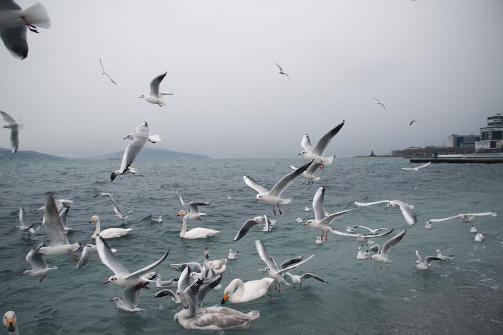 Photograph by Дарья Астапчук