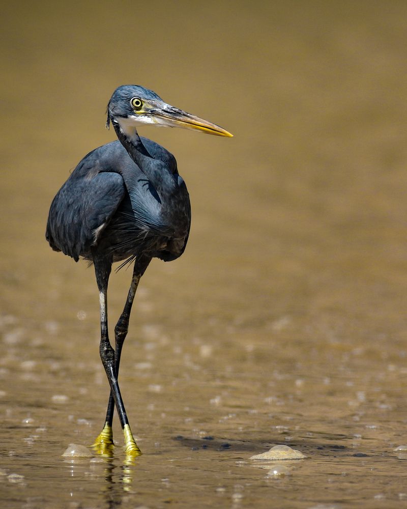 Photograph by Aboobacker Siddique