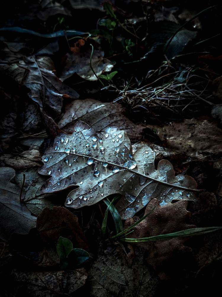 Photograph by Алиса Малая